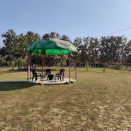 Nature Homestay Βαρανάσι Εξωτερικό φωτογραφία